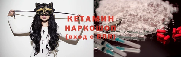 ПСИЛОЦИБИНОВЫЕ ГРИБЫ Осинники